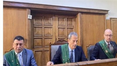 السجن المشدد 7 سنوات لبائعة مناديل خطفت طفلة لتتسول بها فى الدقهلية