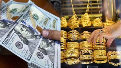  الدولار يصل إلى أعلى مستوى فى 20 عاما.. وتوقعات باستقرار الحديد والذهب وتراجع المعروض من اللحوم والدواجن