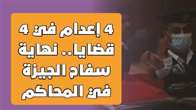 4 إعدام في 4 قضايا.. نهاية سفاح الجيزة في المحاكم | انفوجراف