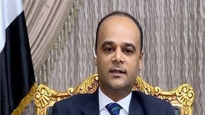 نادر سعد: التقشف الحكومي عنوان الموازنة العامة القادمة