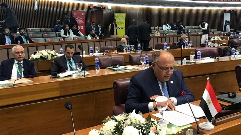 سامح شكرى وزير الخارجية