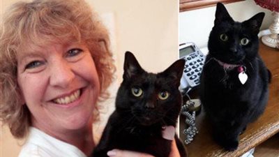قطة تنقذ حياة صاحبتها من السرطان