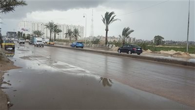 انتشار برك مياه الأمطار في شوارع الإسكندرية | صور 