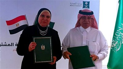 اتفاق مصري سعودي على الإجراءات النهائية لمشروع الربط الكهربائي