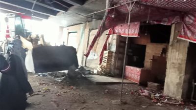 ازالة 30 بناء مخالف وتعديات على أراض زراعية بالجيزة | صور