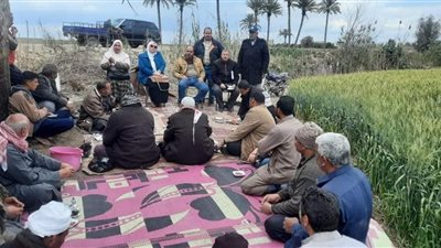 زراعة الشرقية تنظم يوما حقليا عن محصول القمح بأبو حماد 