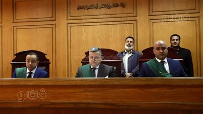 26 يونية.. الحكم على متهم بـ 