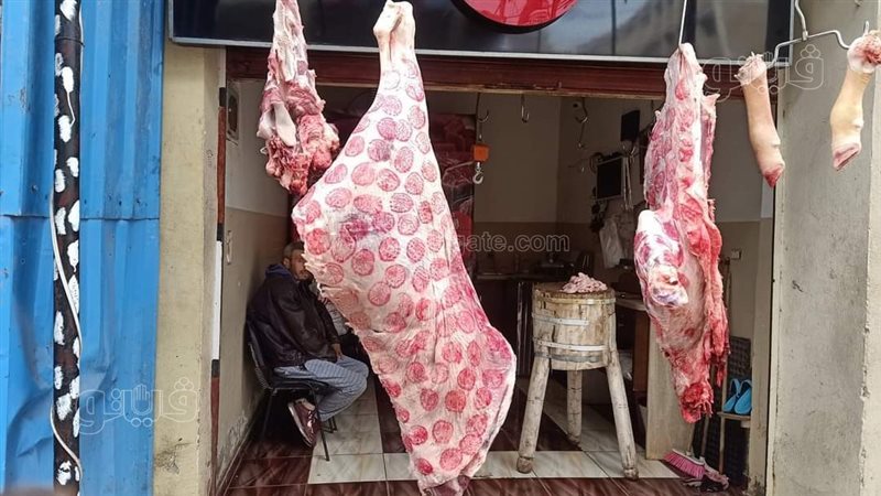 محلات الجزارة بالغربية