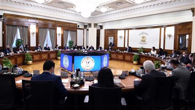 رئيس الوزراء يلتقي وفدا من أعضاء غرفة التجارة الأمريكية | صور