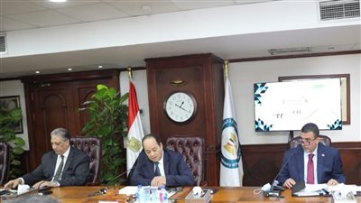  82 مليون جنيه أرباح صيانكو عن عام 2021