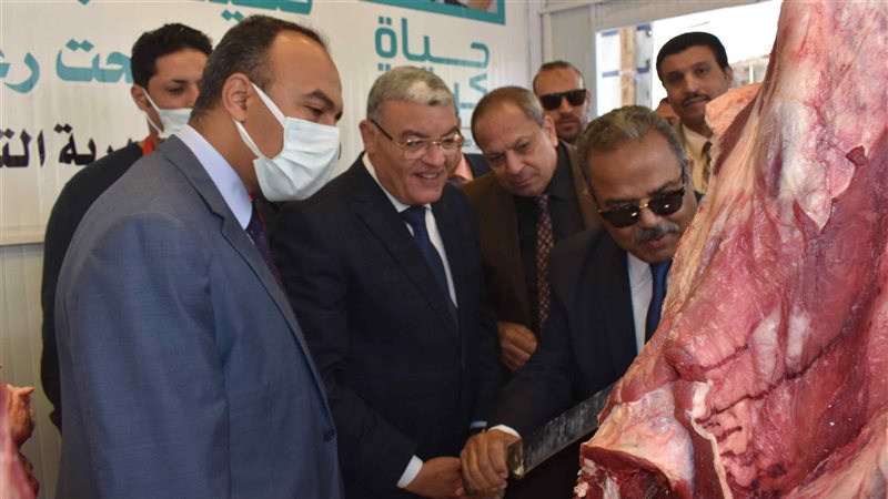محافظة المنيا 