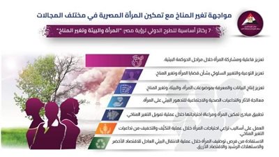 7 ركاىز أساسية للطرح الدولي لرؤية مصر 