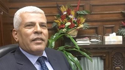 خليفة: الإقبال على زراعة الذرة الصفراء والرفيعة سيزداد خلال الموسم المقبل