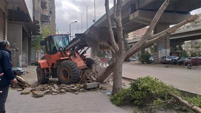 حملة لإزالة الإعلانات غير المرخصة في الهرم | صور