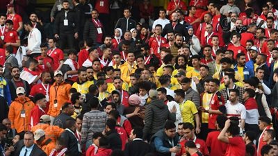 مباراة مصر والسنغال.. الجماهير تشعل مدرجات استاد القاهرة على أنغام تسلم الأيادي| فيديو  وصور