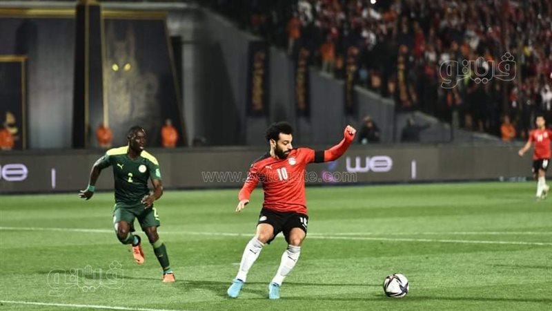 مصر والسنغال