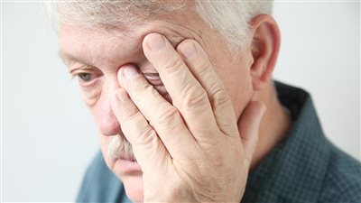 غير مقلقة.. باحث يحذر من تفتيت الذبابة الطائرة بالليزر