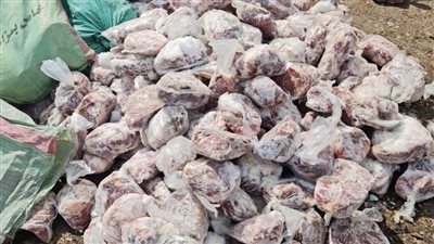 إعدام 2 طن لحوم فاسدة خلال حملات صحية بالدقهلية 