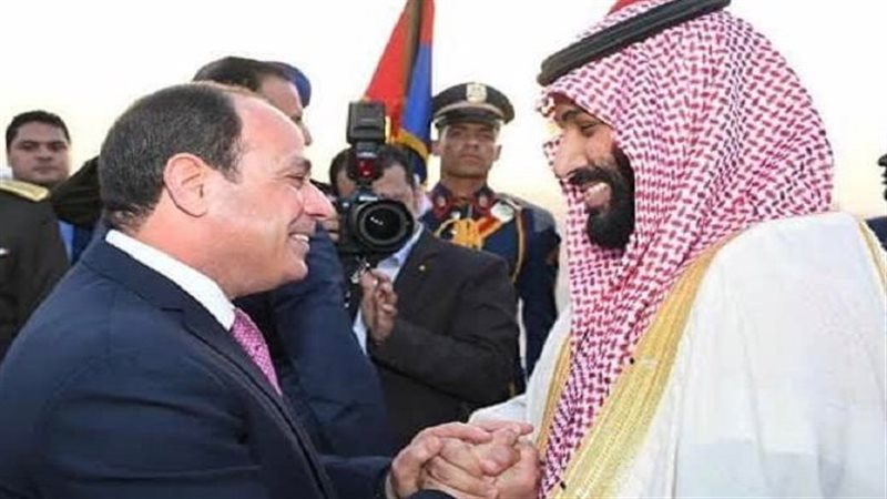 الرئيس السيسي وولي