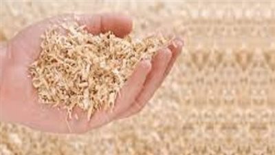 ابتكار يبهر العالم.. صناعة مطهر من نشارة الخشب