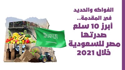الفواكه والحديد في المقدمة.. أبرز 10 سلع صدرتها مصر للسعودية خلال 2021 | إنفوجراف