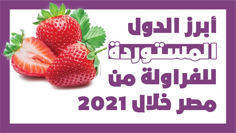 صادرات الفراولة