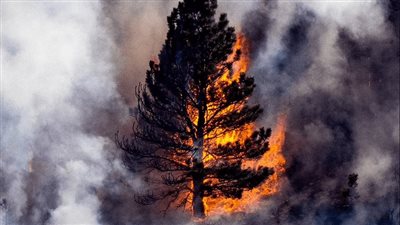 إجلاء 19 ألف أمريكي بسبب حرائق الغابات في كولورادو|فيديو وصور