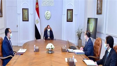 السيسي يكلف بتحقيق الاستفادة الاقتصادية المثلى لموارد مصر من البترول والغاز الطبيعي