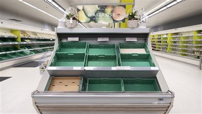 على رأسها مصر وتونس والمغرب ولبنان.. خبير: هذه الدول مهددة بـ