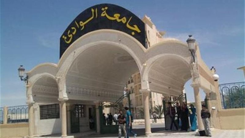 جامعة جنوب الوادي