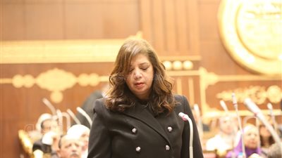 إيناس عصمت تؤدي اليمين الدستورية عضوا بمجلس الشيوخ 