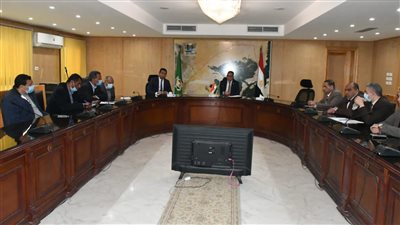 زراعة الفيوم: 208 آلاف فدان من محصول القمح 