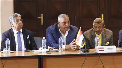 محمد الأمين نائبا لرئيس الاتحاد العربي لكرة اليد