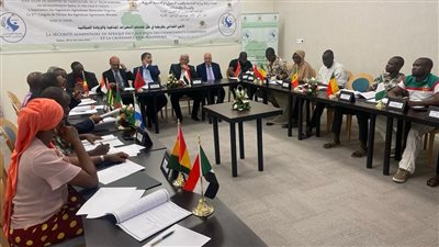 بالإجماع.. انتخاب سيد خليفة أمينًا عامًا لاتحاد المهندسين الزراعيين الأفارقة