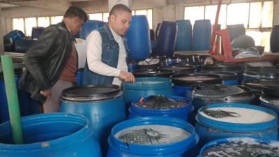 تموين برج العرب بالإسكندرية تضبط ٨ أطنان مخللات مجهولة المصدر