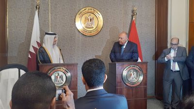 سامح شكري: مصر تؤكد أهمية القضية الفلسطينية وحل الدولتين