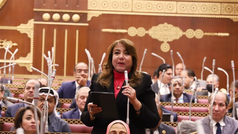النائبة سهير عبد