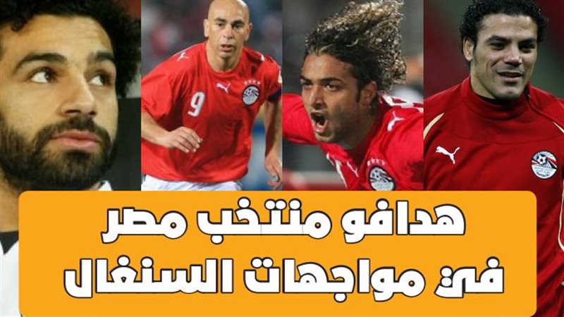 عمرو ذكي