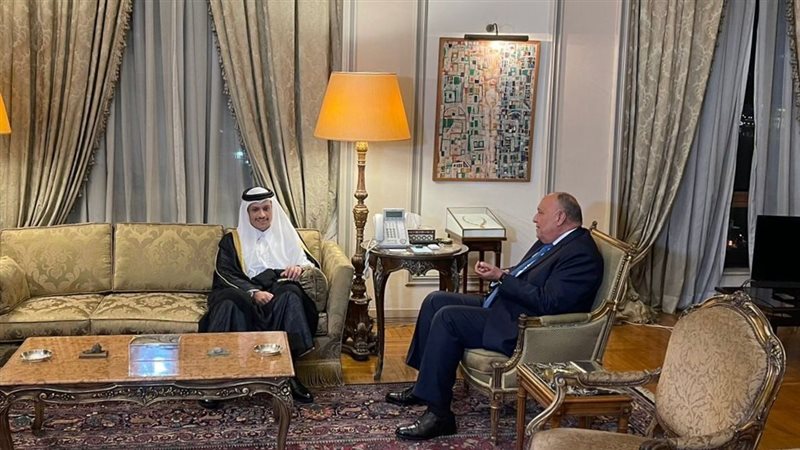 سامح شكرى وزير الخارجية