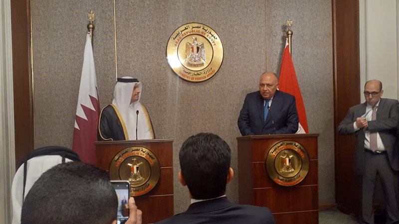 سامح شكري وزير الخارجية