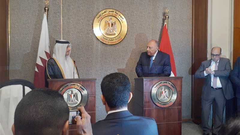سامح شكري وزير الخارجية