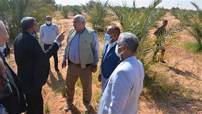 محافظ الوادي الجديد يتفقد مشروع استثمار زراعي بالقلمون