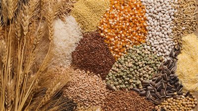 أسعار الحبوب والمكرونة في السلاسل التجارية اليوم