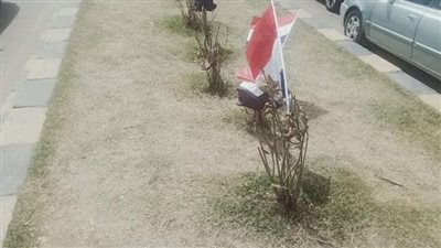 انتشار باعة الأعلام على كورنيش الإسكندرية قبل مبارة مصر والسنغال