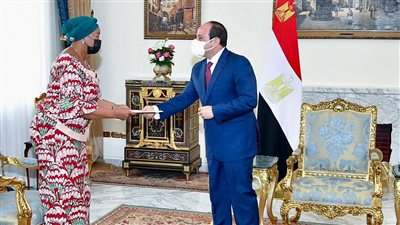 تفاصيل لقاء السيسي بوزيرة البيئة والتنمية المستدامة بجمهورية الكونغو الديمقراطية| صور
