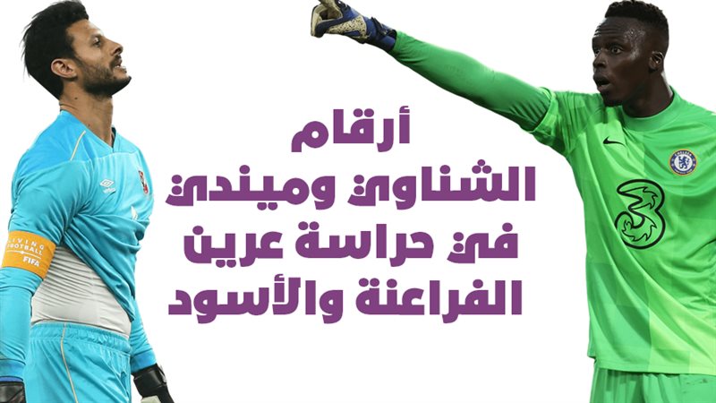 محمد الشناوي حارس