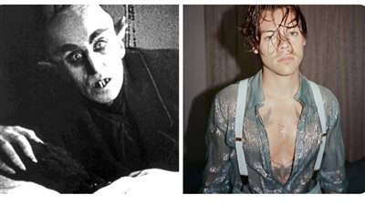 انسحاب هاري ستايلز من فيلم الرعب نوسفيراتو