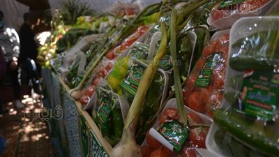 الزراعة: استمرار معارض زهور الربيع وخير مزارعنا ومهرجان التمور لنهاية رمضان