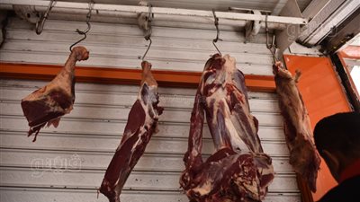 أسعار اللحوم اليوم الأربعاء 13-4-2022 بمحافظة مطروح