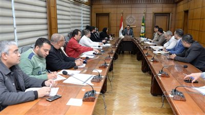 محافظ الدقهلية يتابع معدلات تنفيذ المشروعات في مبادرة 